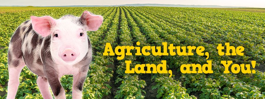 Agriculture, the land, and you!
