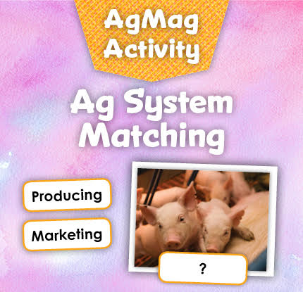 ag-system-matching.k.jpg