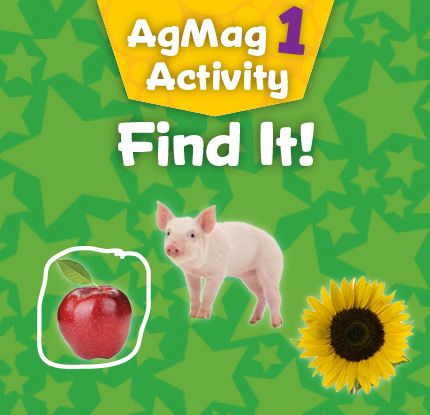 agmag1-findit-gamebutton.jpg