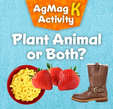 AgK - Plant Animal or Both