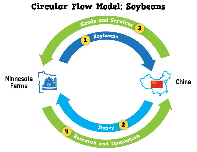 Circular Flow Model: Soybeans, Minnesota Farms and China