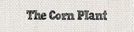 articlebutton-cornplant.jpg