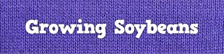 articlebutton-soybeangrowing.jpg