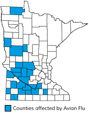 MN Counties affected by the Avian Flu