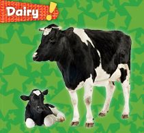 dairy-button.jpg