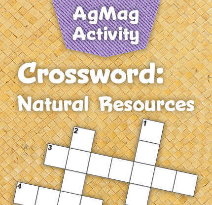 game-crosswordnaturalresources.jpg