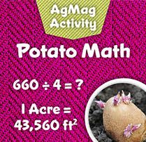 potato-math.jpg