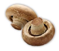 why-mushrooms.jpg